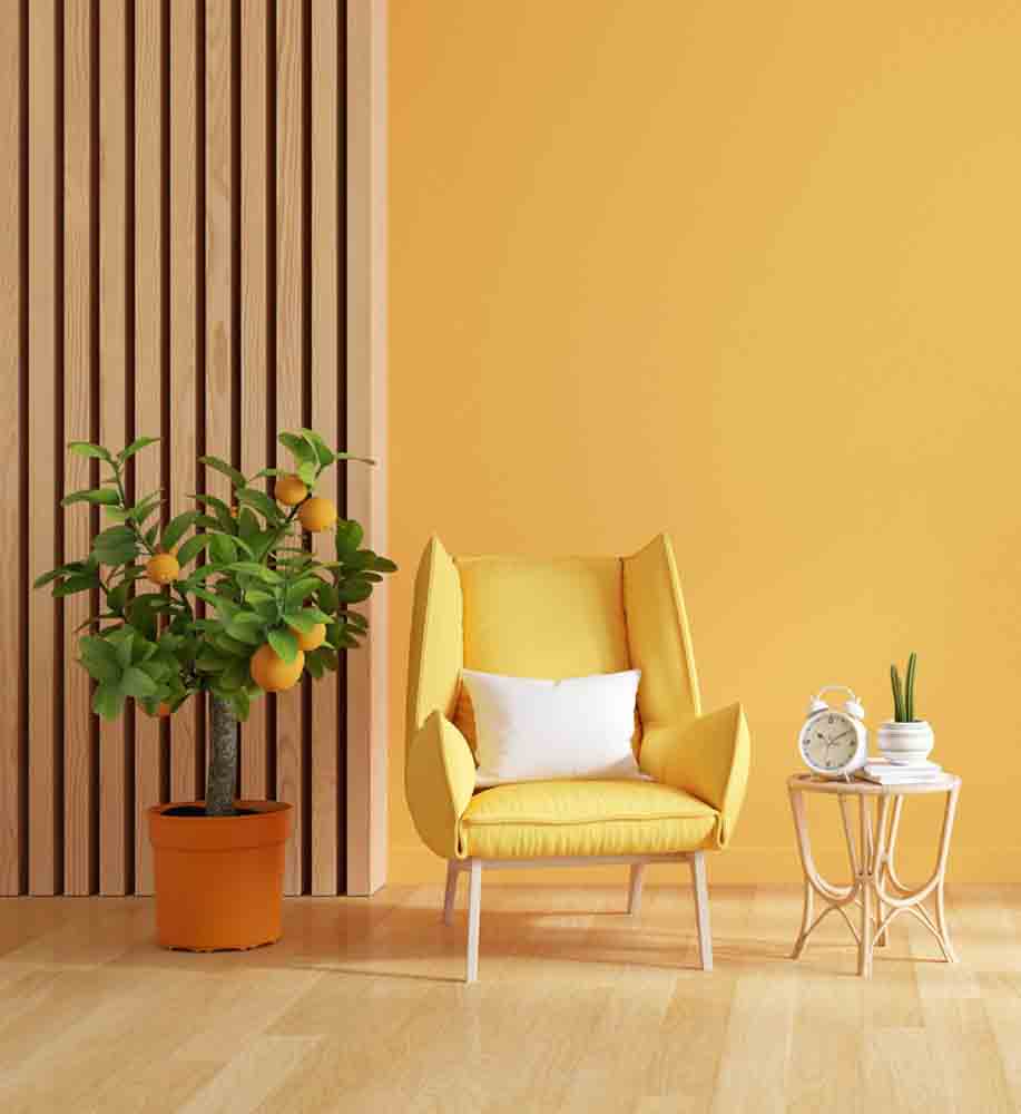 GREEN TOUCH, Mohammadpur